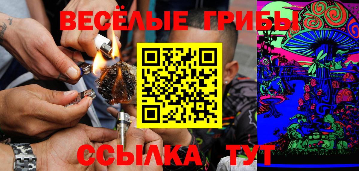 Галлюциногенные грибы Psilocybine cubensis Луга