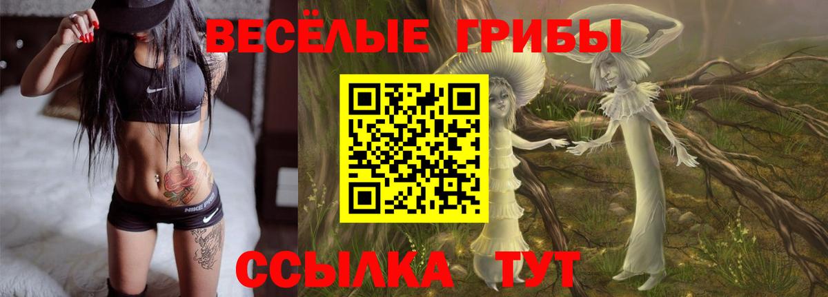 Луга  Галлюциногенные грибы GOLDEN TEACHER  Псилоцибиновые грибы Cubensis  Вход с VPN 